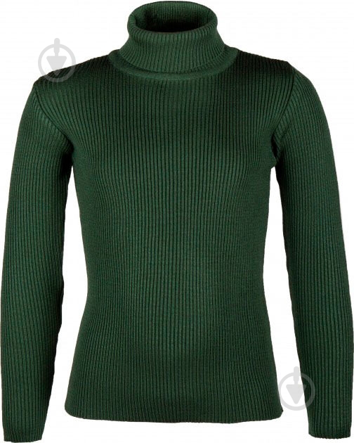 Гольф для девочки Flash р.128 зеленый 17D909-1601 - фото 1 Гольф для девочки Flash р.128 зеленый 17D909-1601 - фото 1