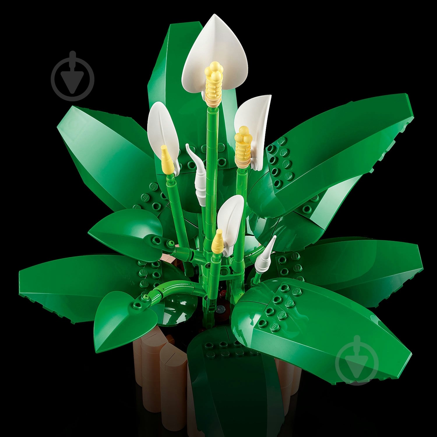 Конструктор LEGO Botanical Спатифілум 11504 - фото 7