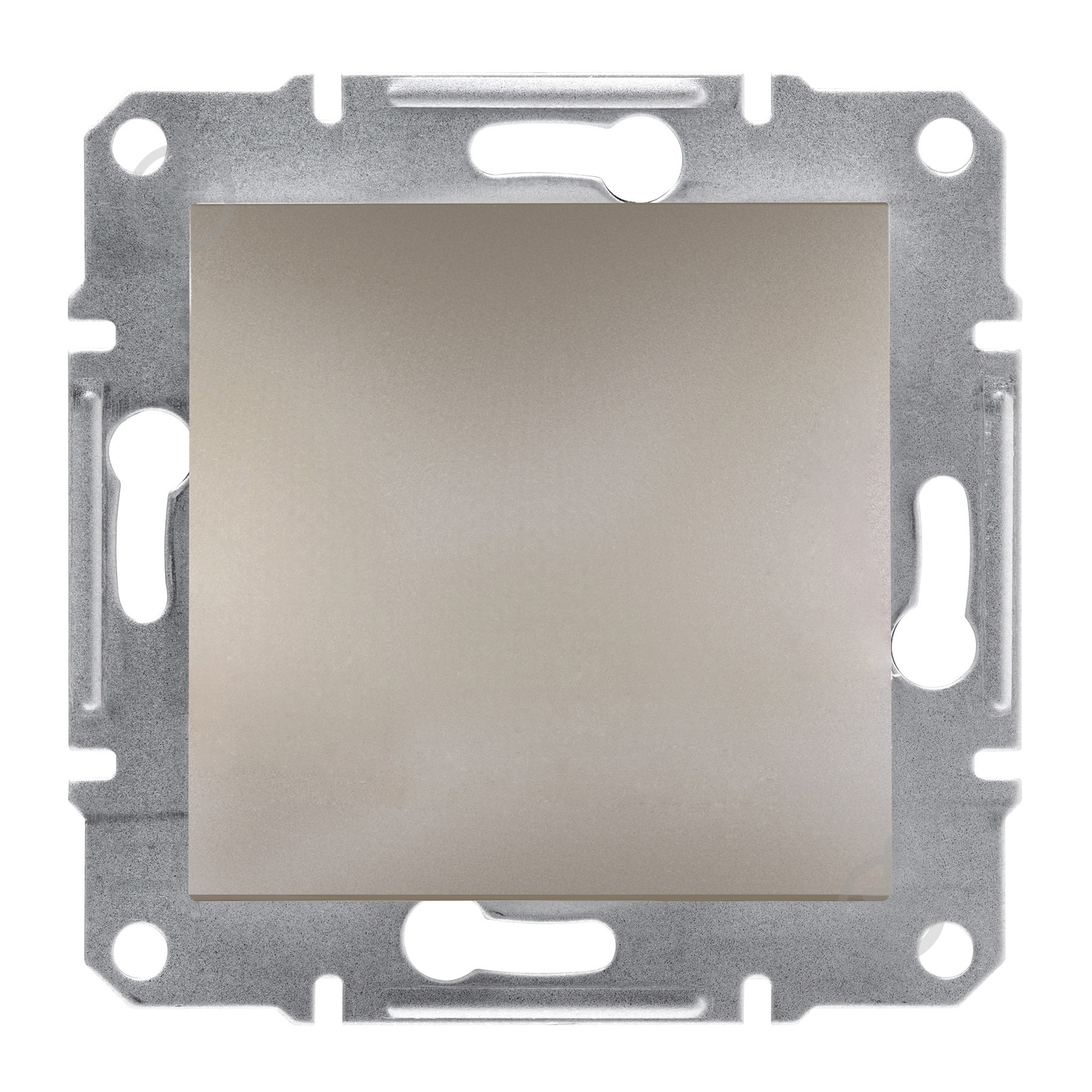 Заглушка Schneider Electric Asfora бронзовый EPH5600169 - фото 1 Заглушка Schneider Electric Asfora бронзовый EPH5600169 - фото 1