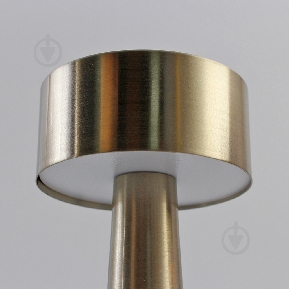 Светильник ESLLSE DOWN LIGHT 2 Вт LED-модуль золотой 10318 - фото 9 Светильник ESLLSE DOWN LIGHT 2 Вт LED-модуль золотой 10318 - фото 9