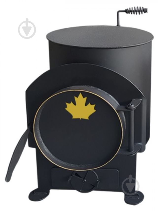 Печь отопительно-варочная Canada с зольником - фото 1