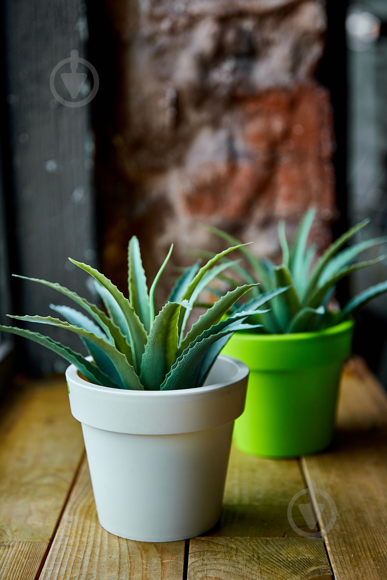 УЦІНКА! Вазон пластиковий Алеана ГАММА 14x12 см круглий 1,5 л біла роза (УЦ №76) - фото 2 УЦІНКА! Вазон пластиковий Алеана ГАММА 14x12 см круглий 1,5 л біла роза (УЦ №76) - фото 2