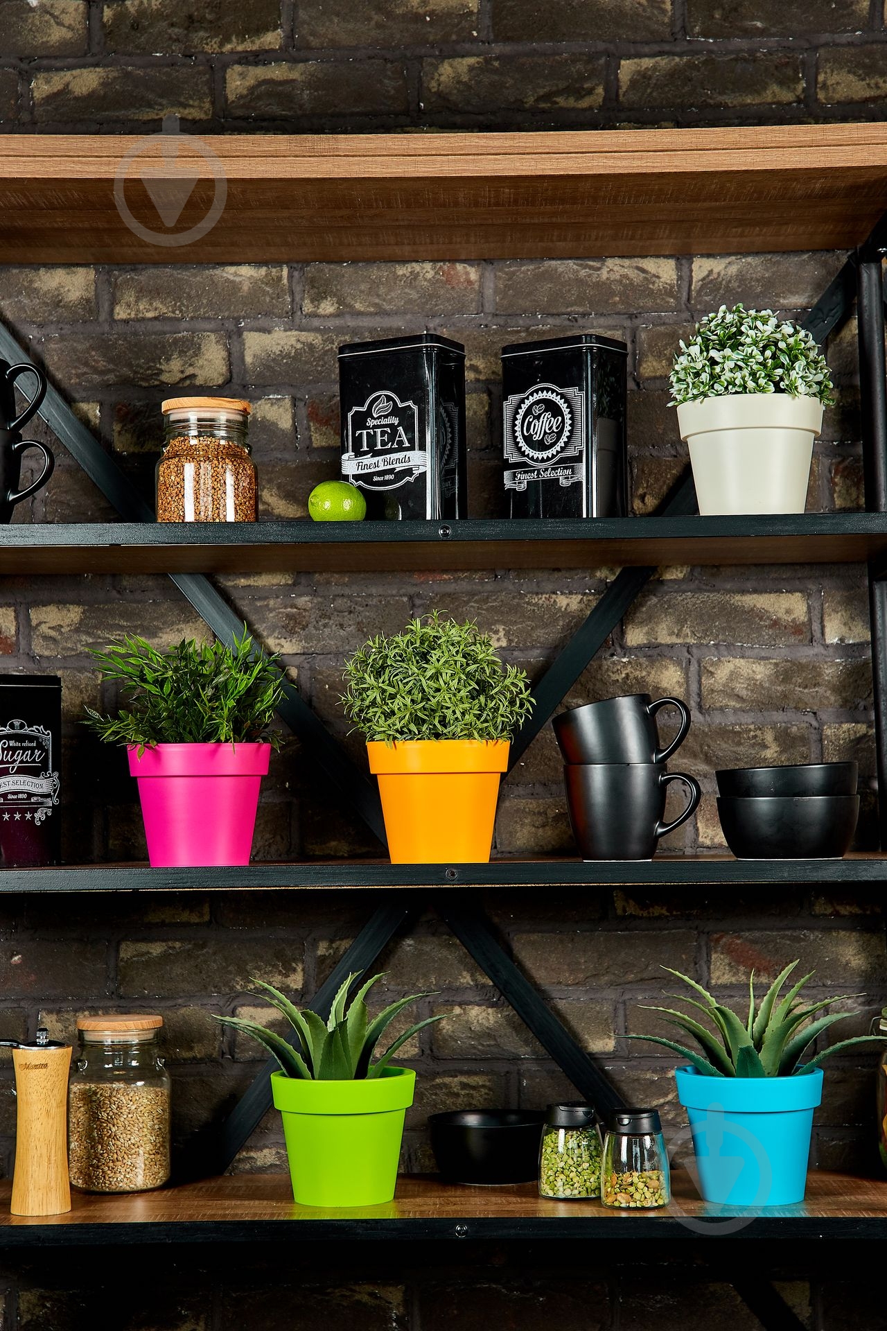 УЦІНКА! Вазон пластиковий Алеана ГАММА 14x12 см круглий 1,5 л біла роза (УЦ №76) - фото 4 УЦІНКА! Вазон пластиковий Алеана ГАММА 14x12 см круглий 1,5 л біла роза (УЦ №76) - фото 4