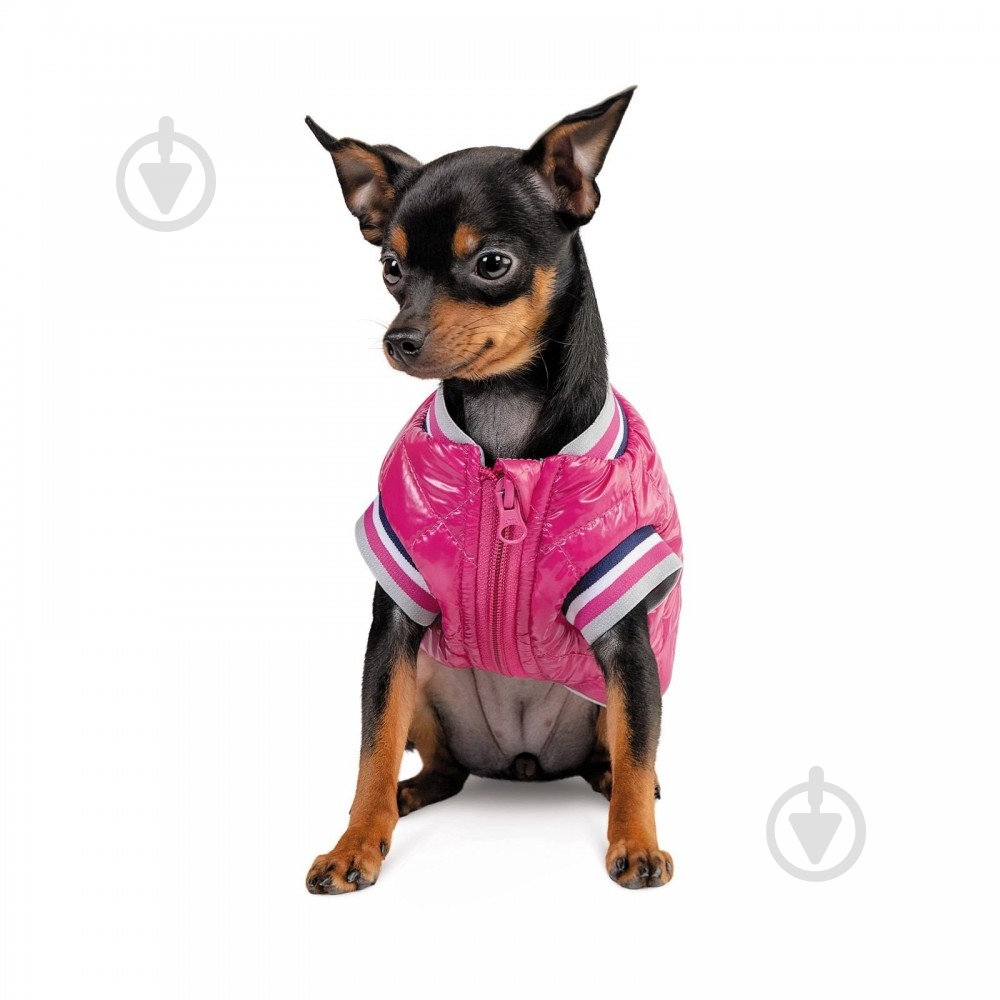 Бомбер Pet Fashion Grace М PR243017 - фото 3