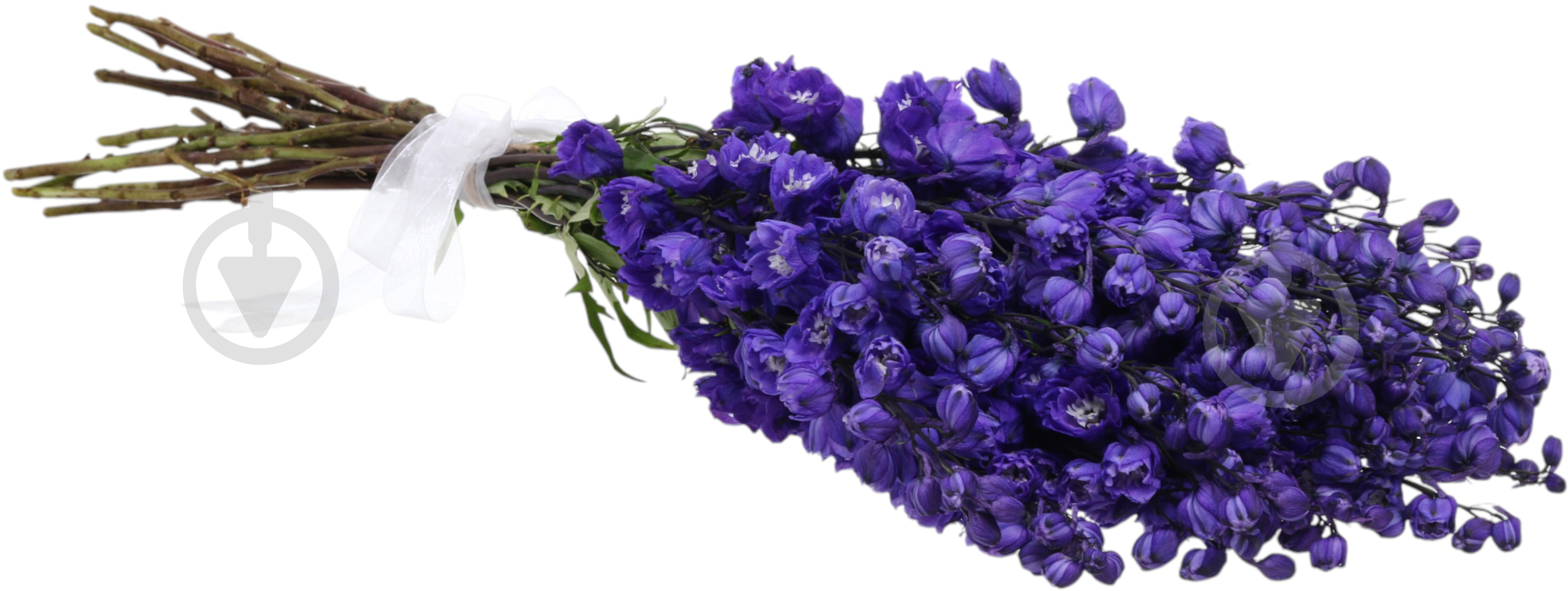 Дельфініум 50 см синій - фото 5