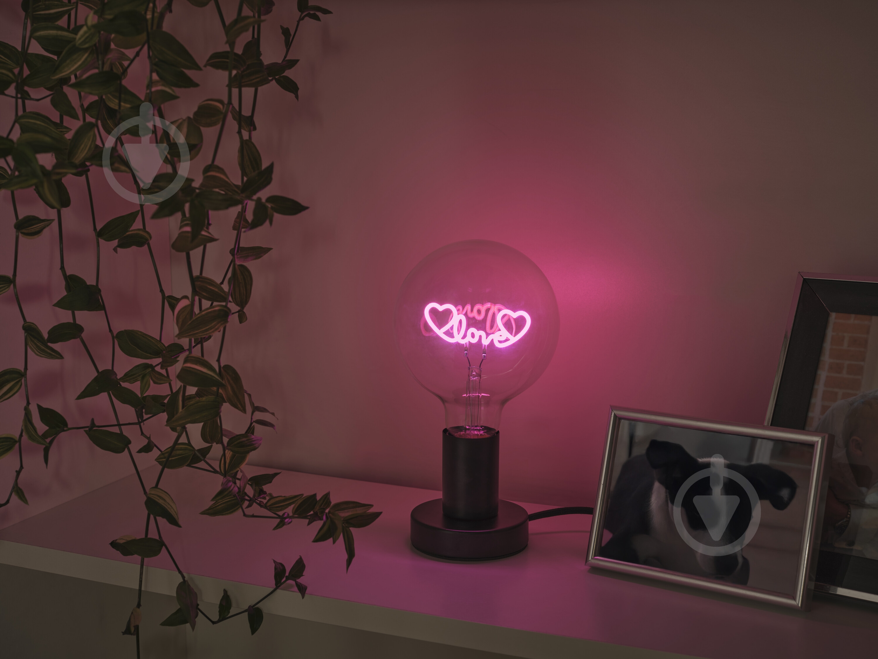 Настольная лампа декоративная Ledvance LETTER TABLE 1x1,2 Вт E27 черный 1906 LOVE - фото 8 Настольная лампа декоративная Ledvance LETTER TABLE 1x1,2 Вт E27 черный 1906 LOVE - фото 8