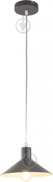 Подвес Vio Concept VCDS 1x40 Вт E27 серый MD76652A-1 - фото 2