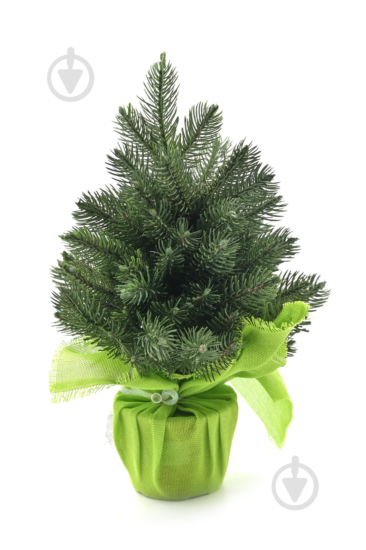 Искусственная елка Аляска 0.4 м зеленый - фото 1
