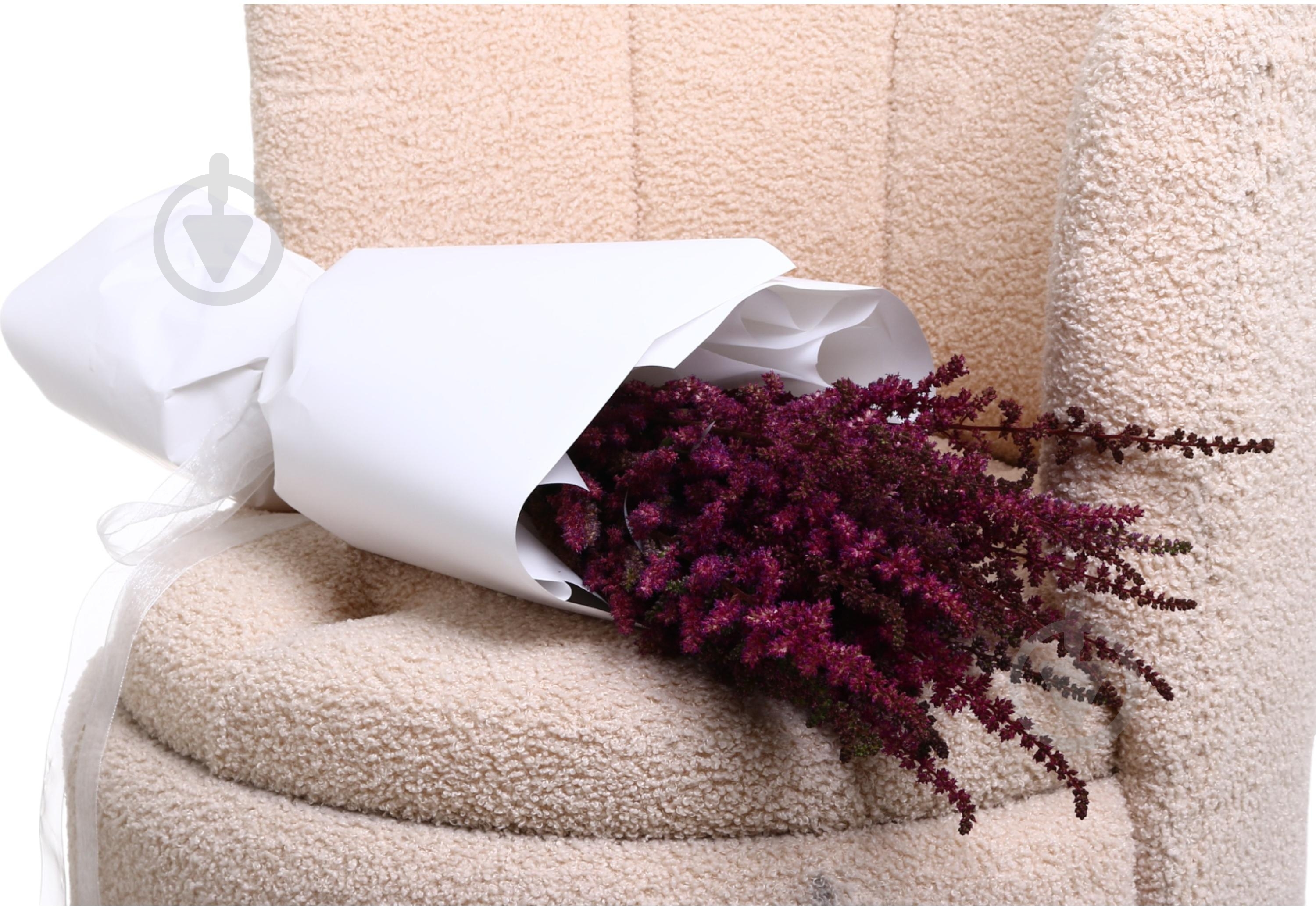 Астильба Else Schluck красная (Нидерланды) - фото 3