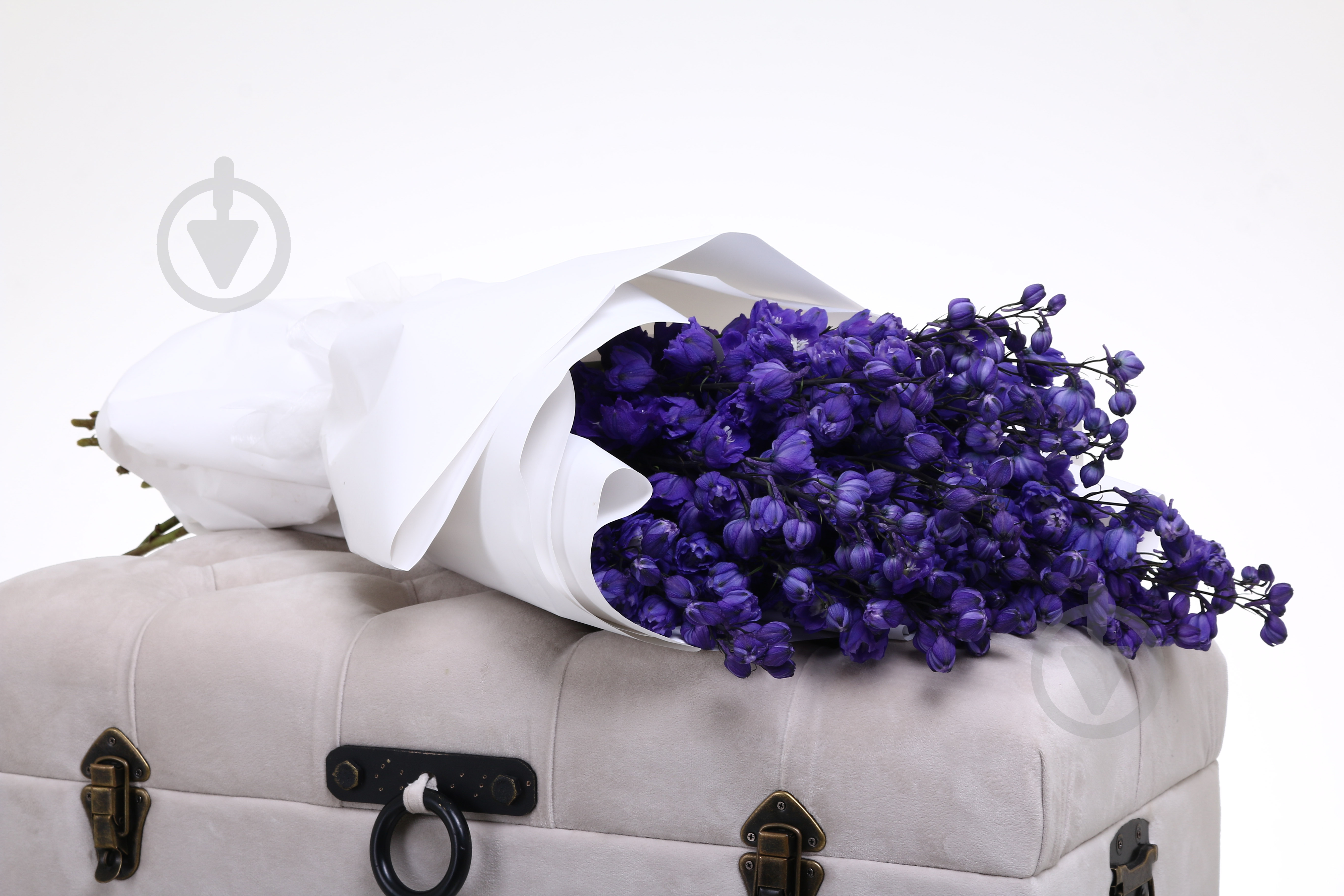 Дельфиниум 50 см синий (Нидерланды) - фото 5