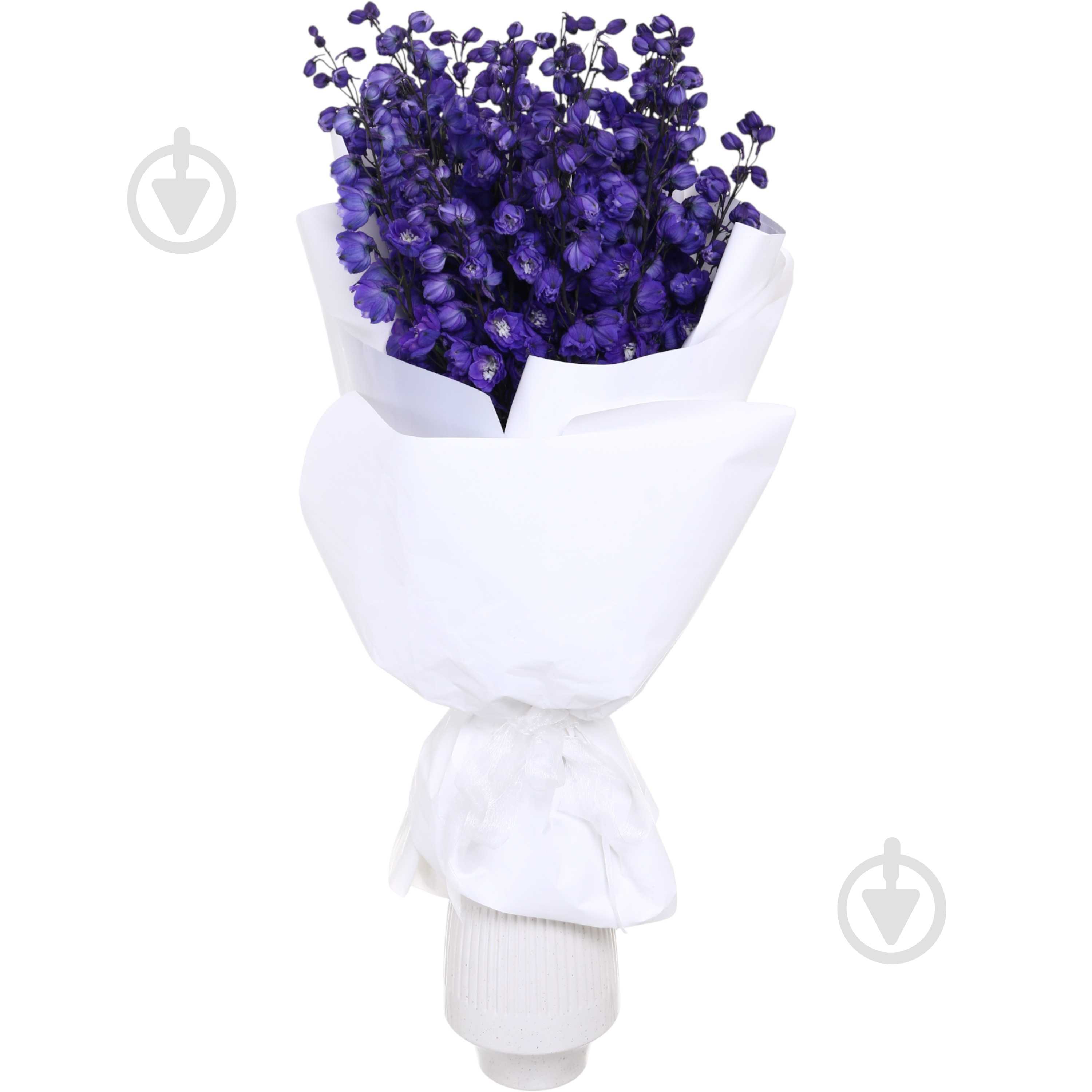 Дельфиниум 50 см синий (Нидерланды) - фото 3