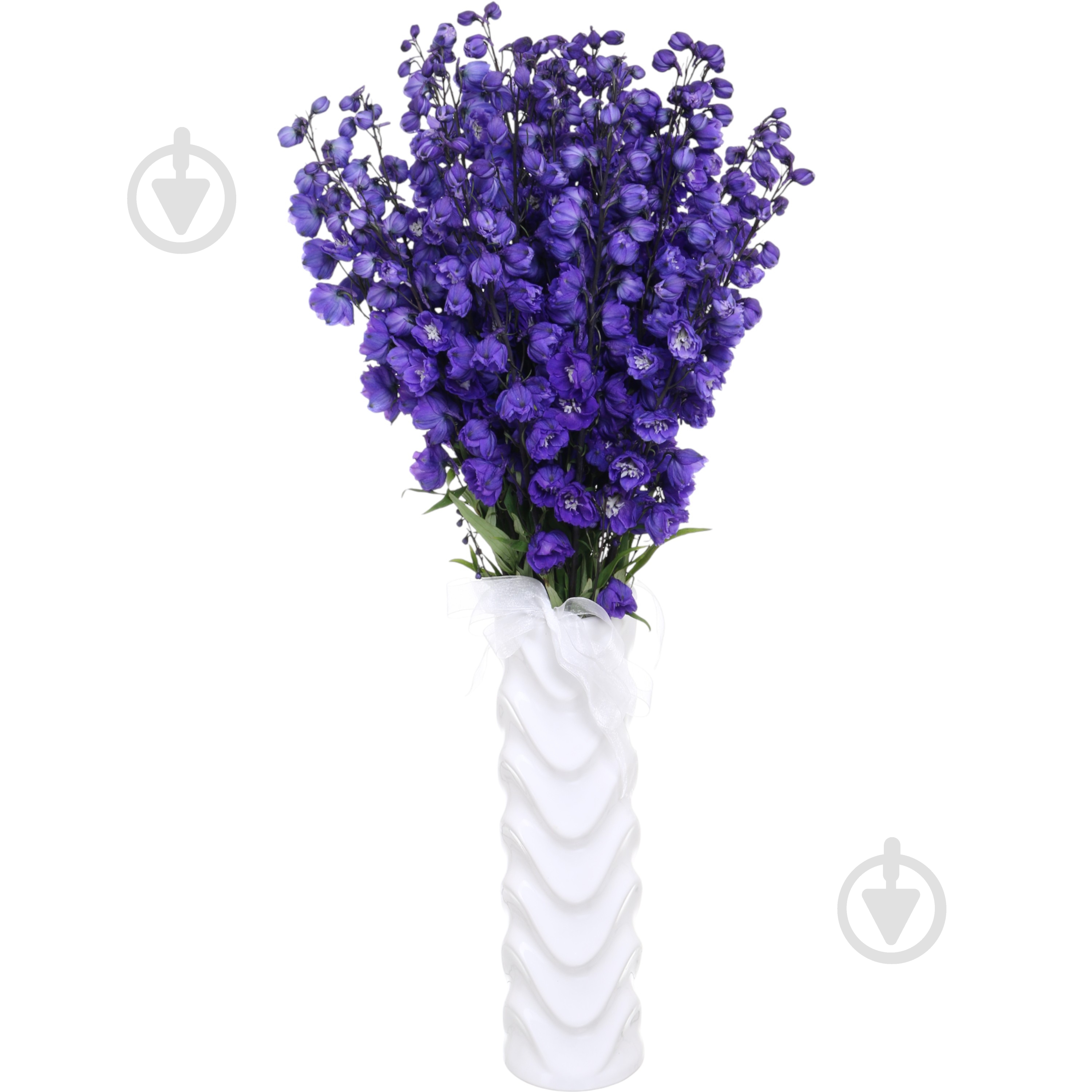 Дельфиниум 50 см синий (Нидерланды) - фото 2