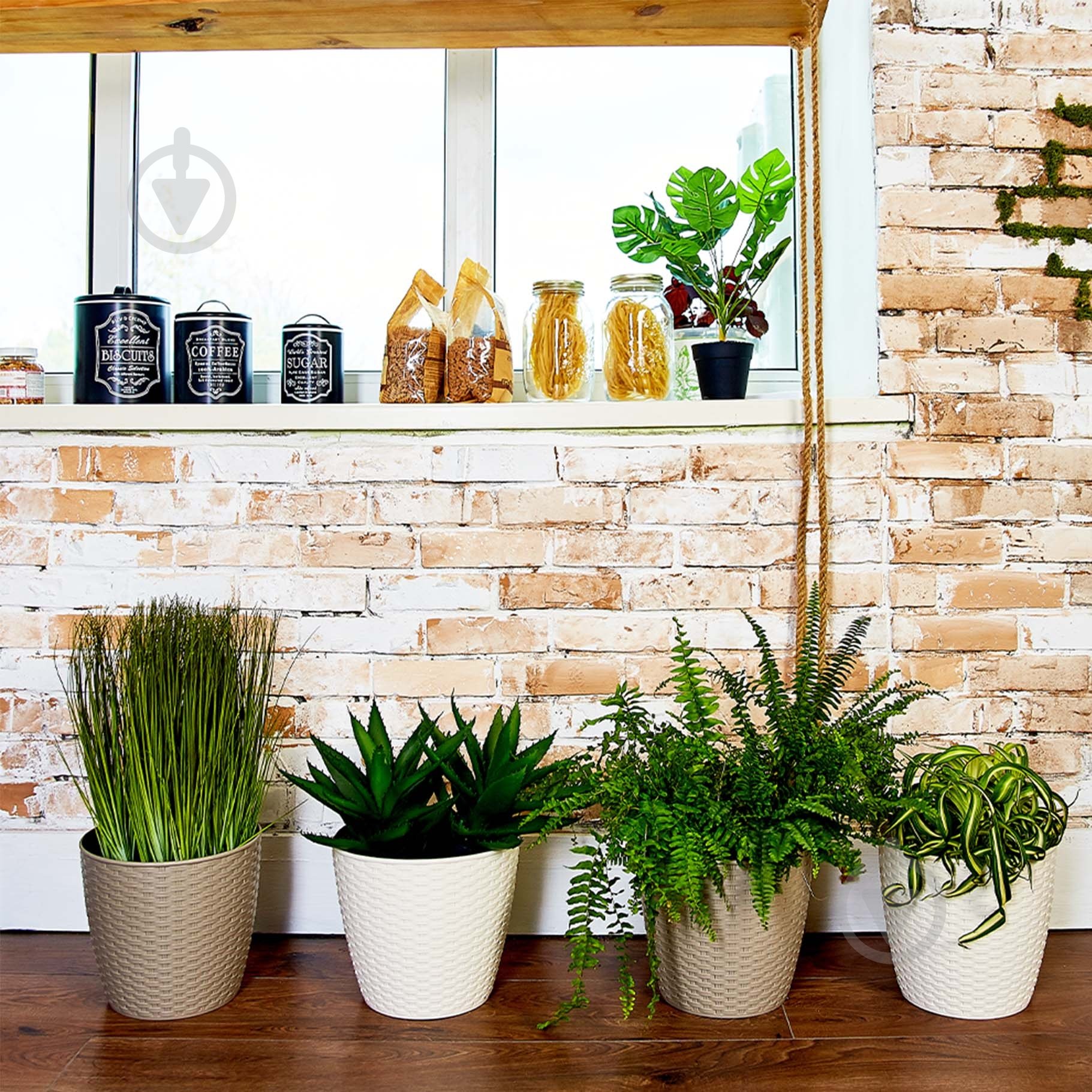 Горщик Алеана Ротанг з підставкою 30,0х27,5 см круглий 14 л біла троянда (1115026) - фото 4