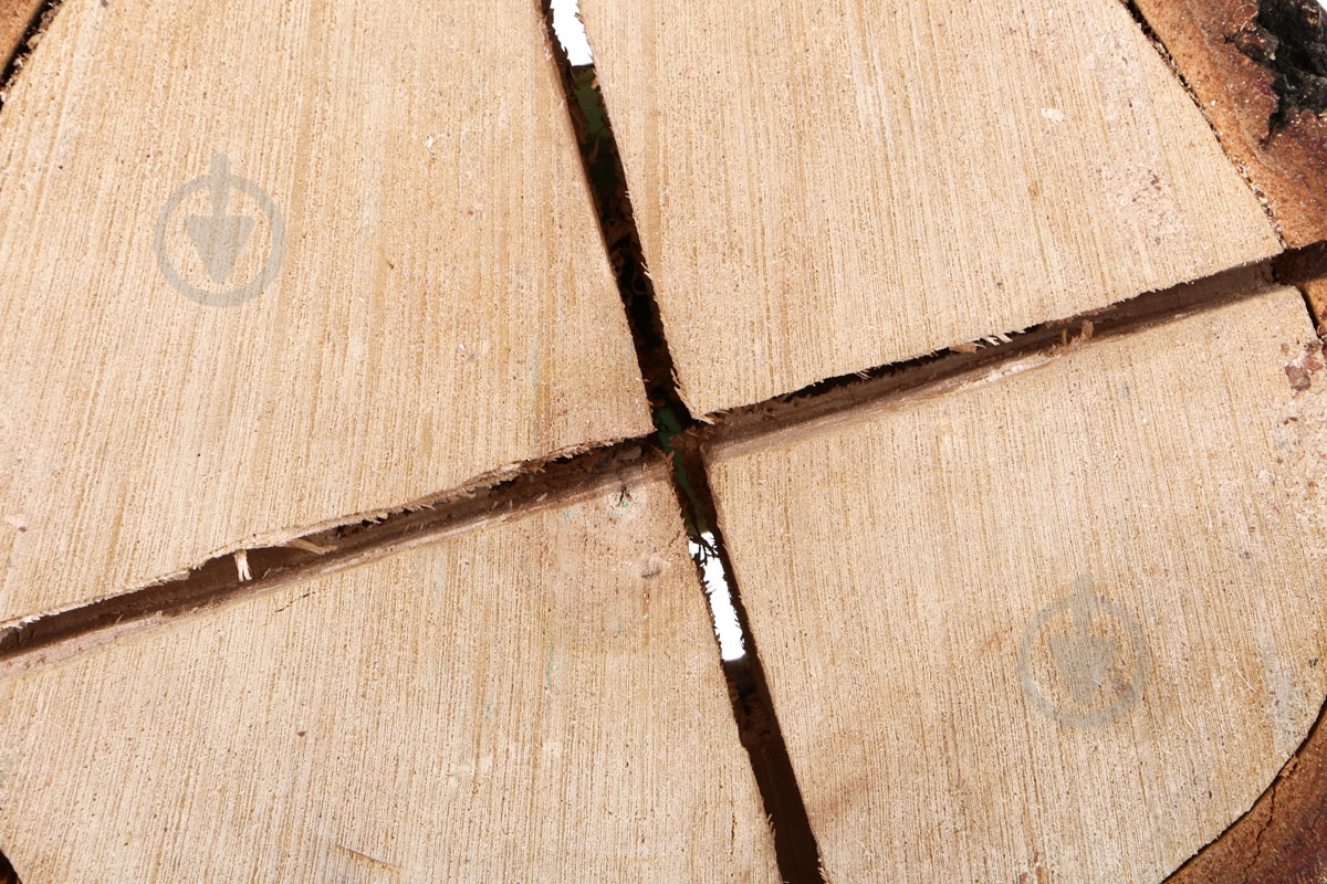 Пенек PEN'OK №1 Large TC-L - фото 3 Пенек PEN'OK №1 Large TC-L - фото 3