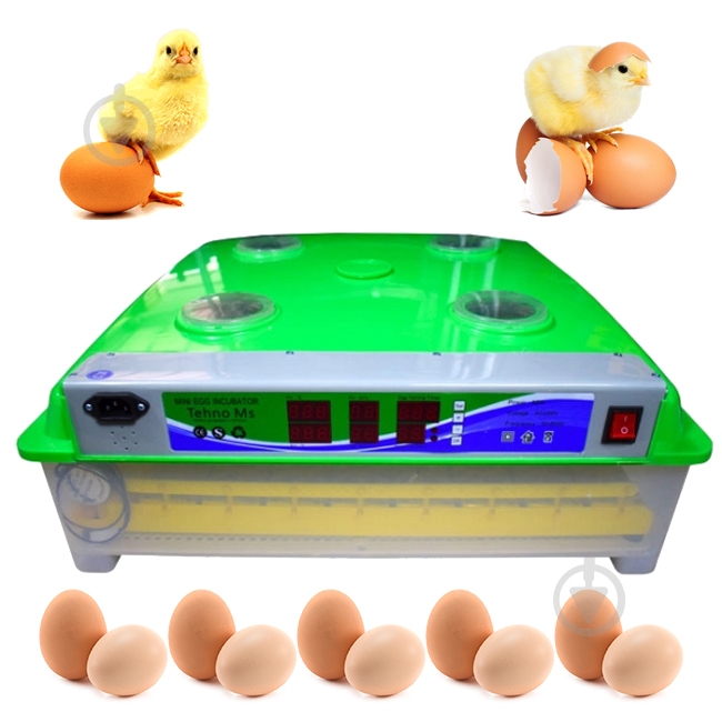 Инкубатор автоматический MS-63/252 - фото 3