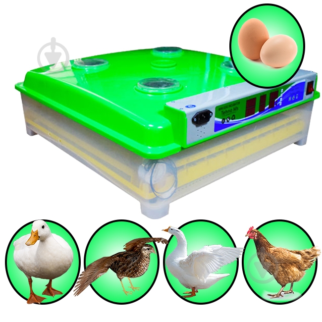 Инкубатор TEHNO-MS автоматический MS-98 - фото 2