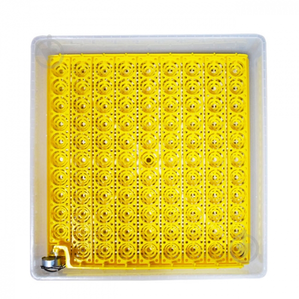 Инкубатор TEHNO-MS автоматический MS-98 - фото 5