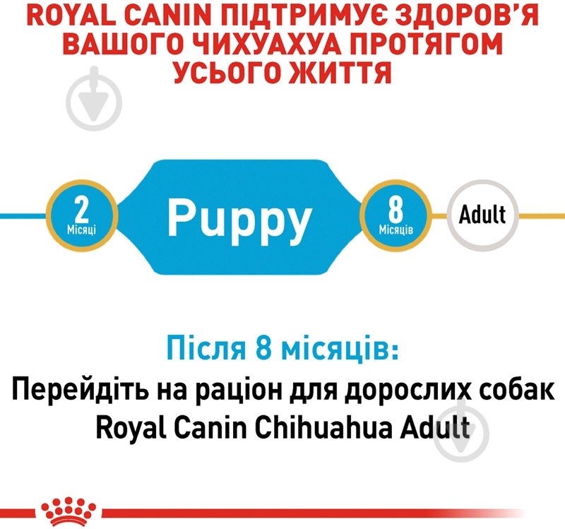 Корм сухой для щенков для малых пород Royal Canin CHIHUAHUA PUPPY 0,5 кг (домашняя птица) 500 г - фото 5 Корм сухой для щенков для малых пород Royal Canin CHIHUAHUA PUPPY 0,5 кг (домашняя птица) 500 г - фото 5