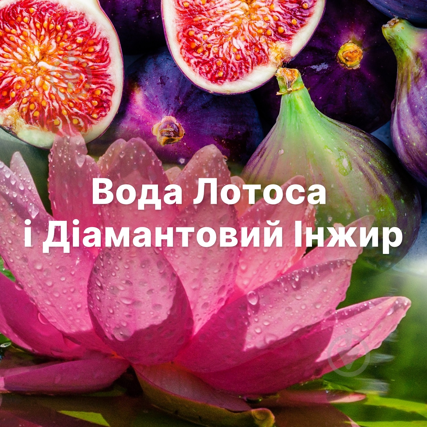Кондиціонер-ополіскувач Lenor Diamond Figs & Lotus Water Calm 0,7 л — фото 7