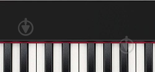 Фортепіано цифрове Casio PX-S3000BKC7 - фото 10 Фортепіано цифрове Casio PX-S3000BKC7 - фото 10