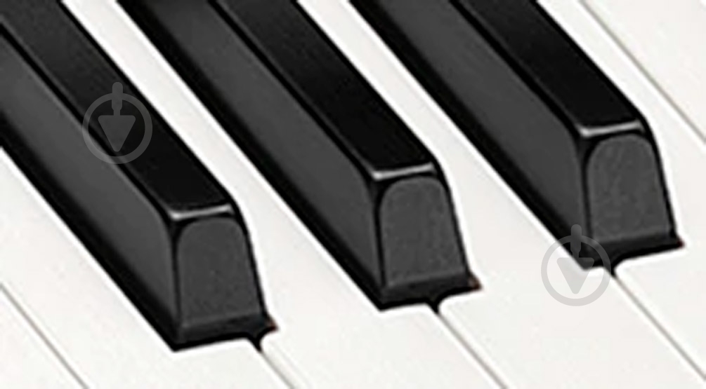 Фортепіано цифрове Casio PX-S3000BKC7 - фото 11 Фортепіано цифрове Casio PX-S3000BKC7 - фото 11