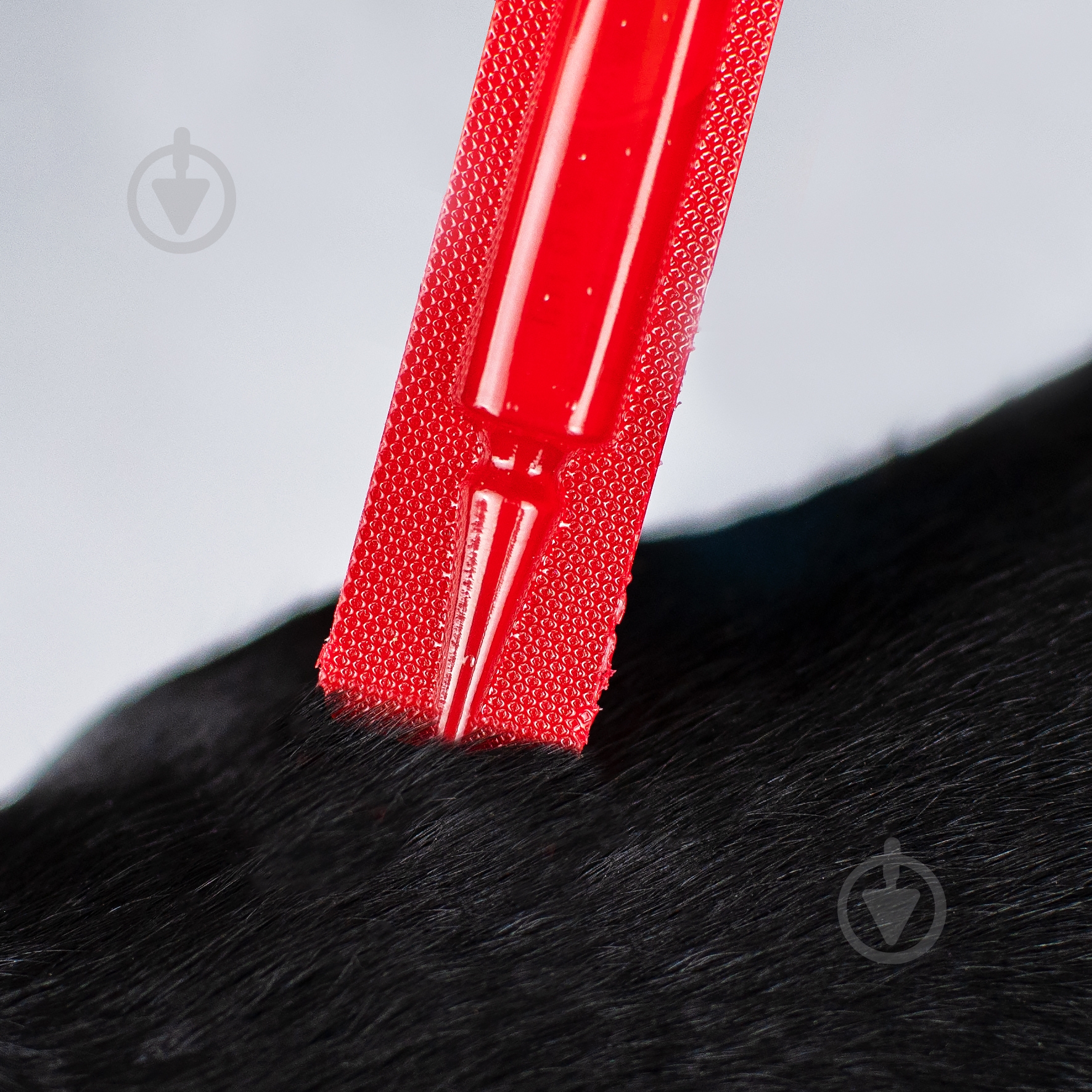 Капли ProVET для собак 4-10 кг Profiline от блох, клещей, паразитов, вшей, 4 пипетки по 1,0 мл - фото 3 Капли ProVET для собак 4-10 кг Profiline от блох, клещей, паразитов, вшей, 4 пипетки по 1,0 мл - фото 3