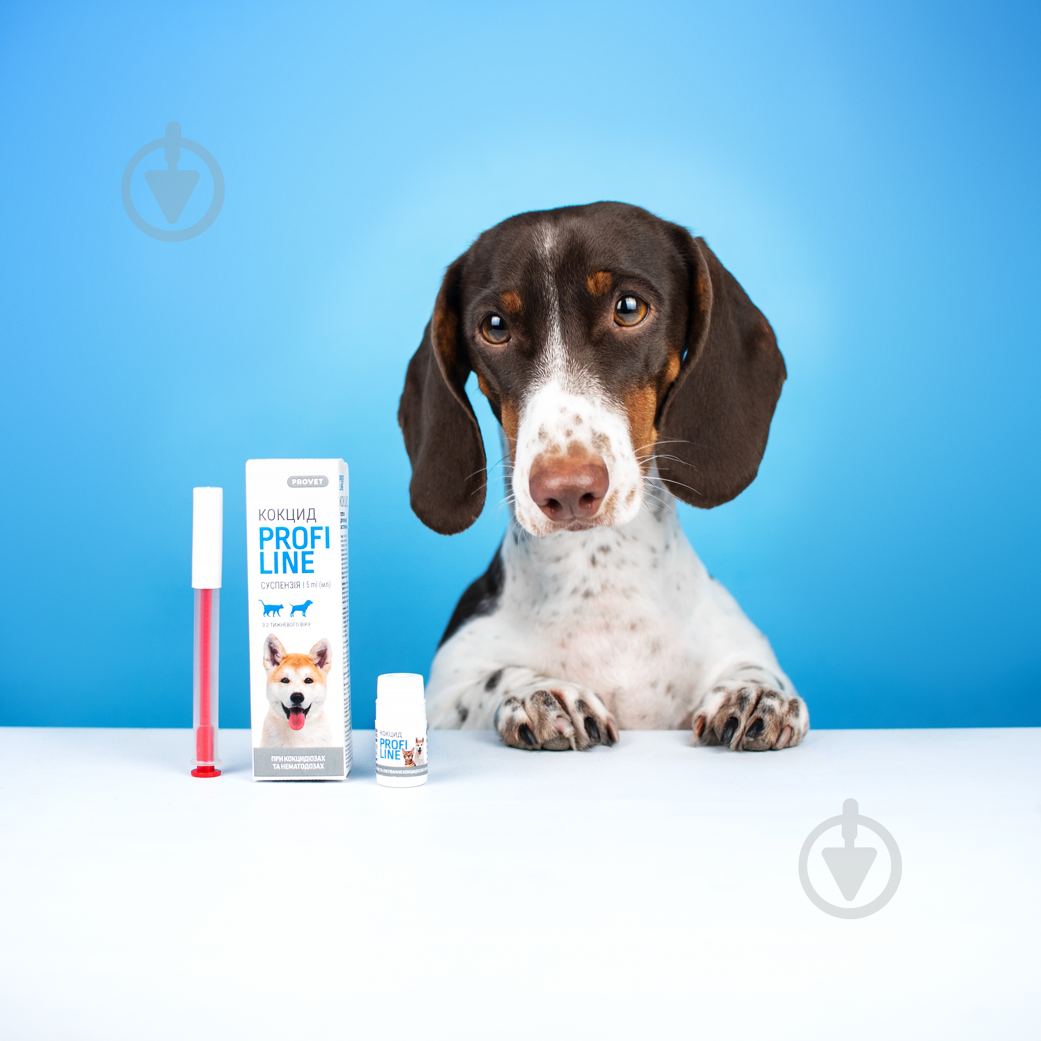 Капли противогельминтные ProVET PROFILINE КОКЦИД для котов и собак 5,0 мл (антигельминтик) - фото 5 Капли противогельминтные ProVET PROFILINE КОКЦИД для котов и собак 5,0 мл (антигельминтик) - фото 5