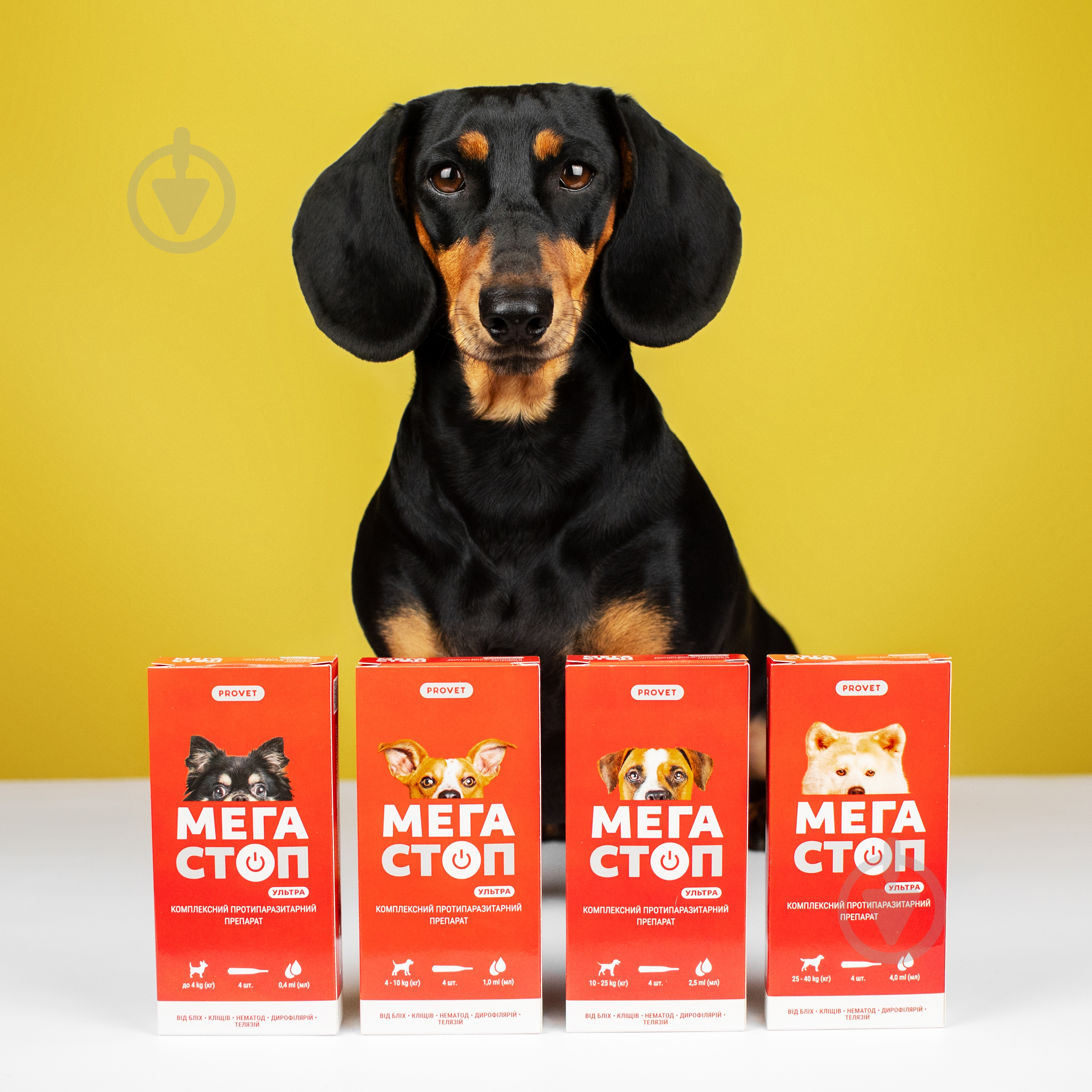 Капли ProVET для собак до 4 кг Мегастоп Ультра от глистов, блох, клещей, вшей 4 п-ки по 0,4мл - фото 6 Капли ProVET для собак до 4 кг Мегастоп Ультра от глистов, блох, клещей, вшей 4 п-ки по 0,4мл - фото 6