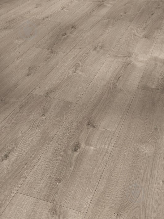 Ламінат PARADOR Basic 600XS V4 дуб валере перлинно-сірий вибілений 32/АС4/8 мм (NULL) - фото 2