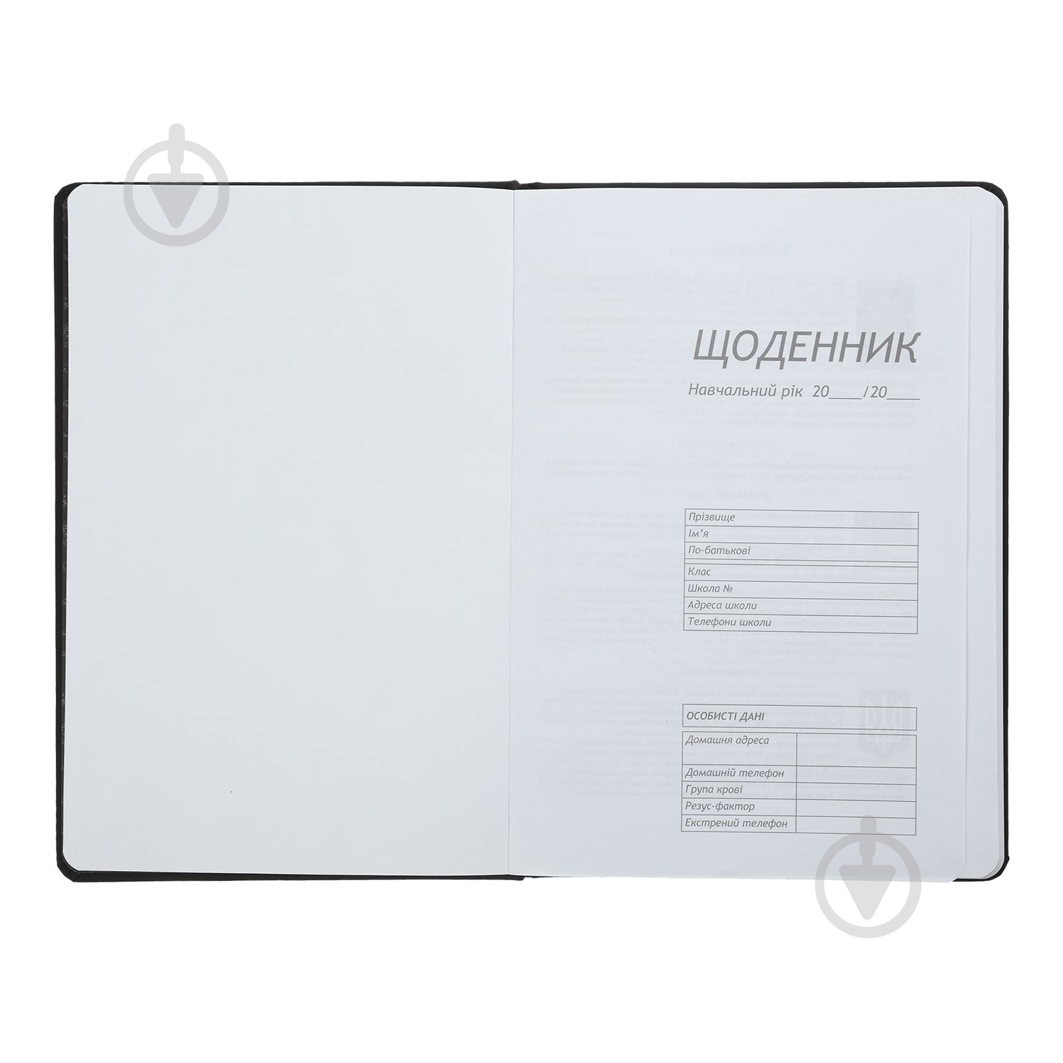 Щоденник шкільний SILVER В5 48 арк. ZiBi - фото 3