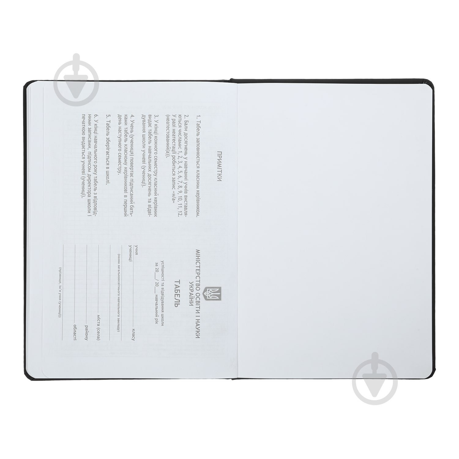 Щоденник шкільний CLOUD В5 ZiBi - фото 3 Щоденник шкільний CLOUD В5 ZiBi - фото 3