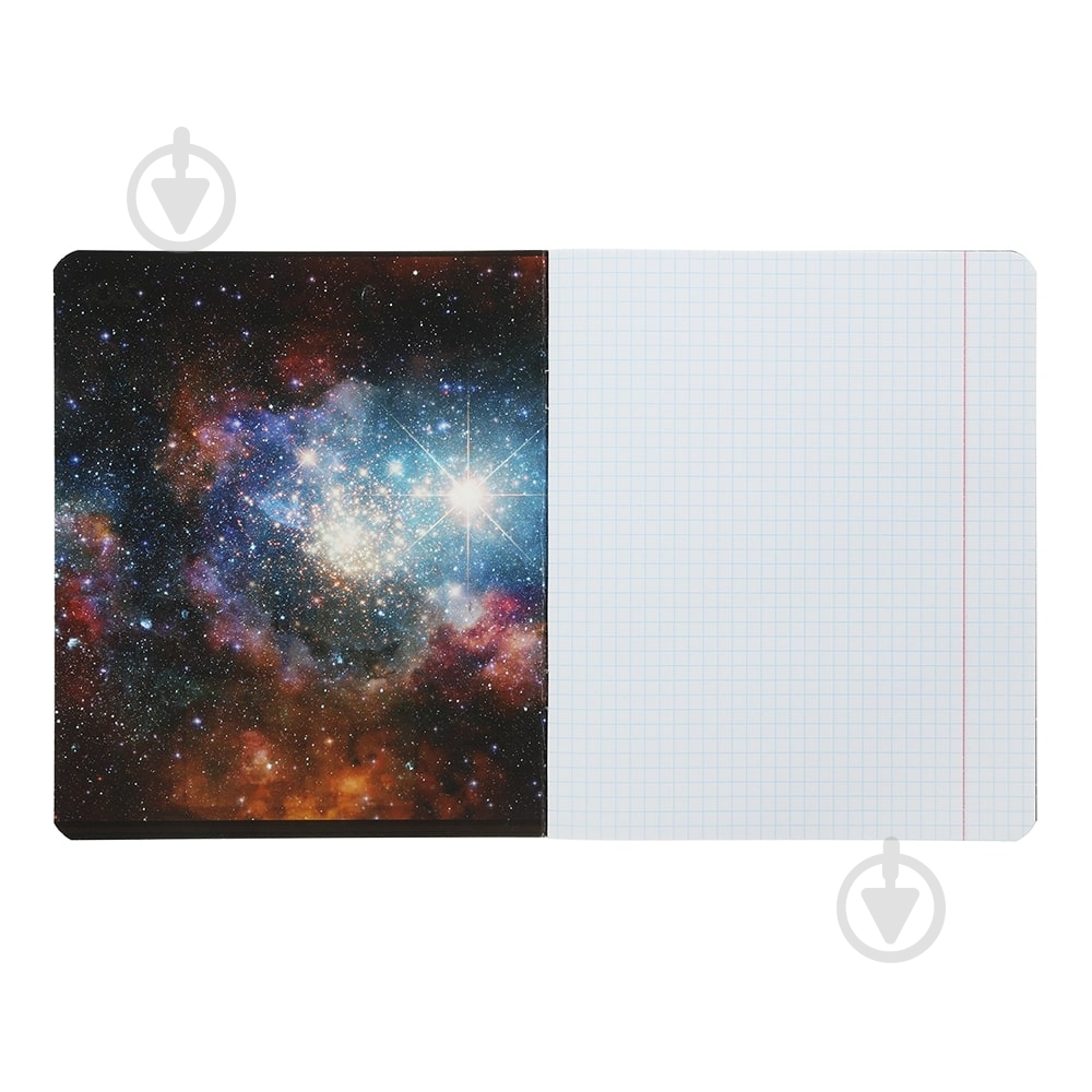 Тетрадь школьная COSMO 24 листов клетка KIDS LINE ZiBi - фото 14