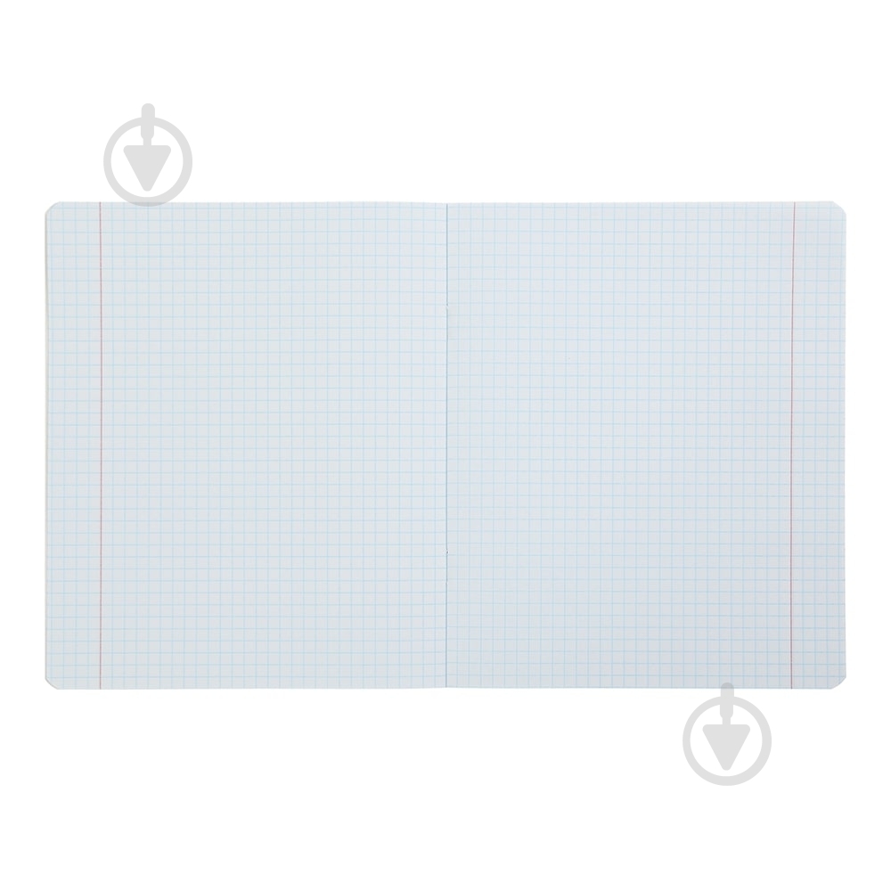 Тетрадь школьная BEAR 24 лист. клетка KIDS LINE ZiBi - фото 4 Тетрадь школьная BEAR 24 лист. клетка KIDS LINE ZiBi - фото 4