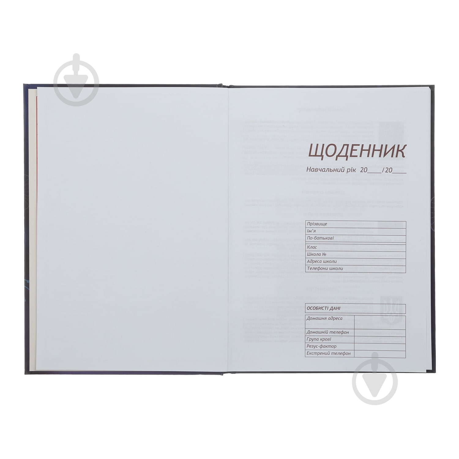 Дневник школьный SHINE В5 ZiBi - фото 11