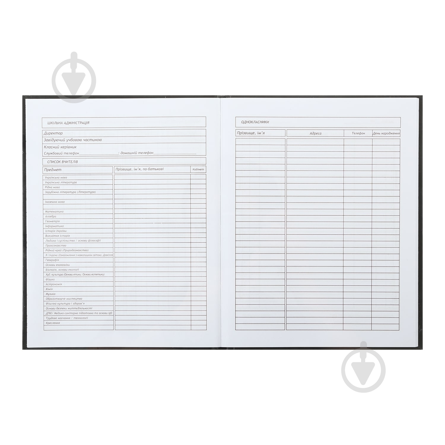 Щоденник шкільний SUPER GIRL A5+ 40 арк. ZB.13920 ZiBi - фото 4 Щоденник шкільний SUPER GIRL A5+ 40 арк. ZB.13920 ZiBi - фото 4