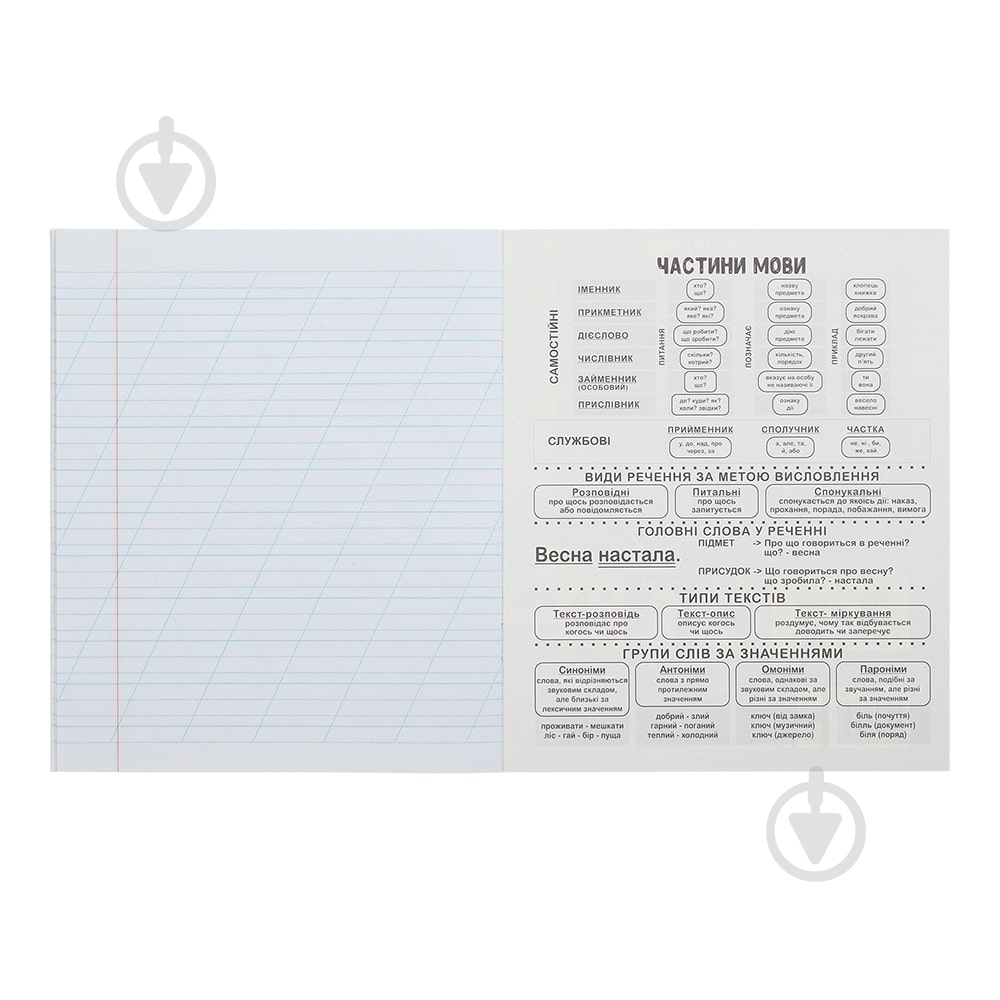 Тетрадь школьная DOGS 12 лист. коса линия KIDS LINE ZiBi - фото 5 Тетрадь школьная DOGS 12 лист. коса линия KIDS LINE ZiBi - фото 5