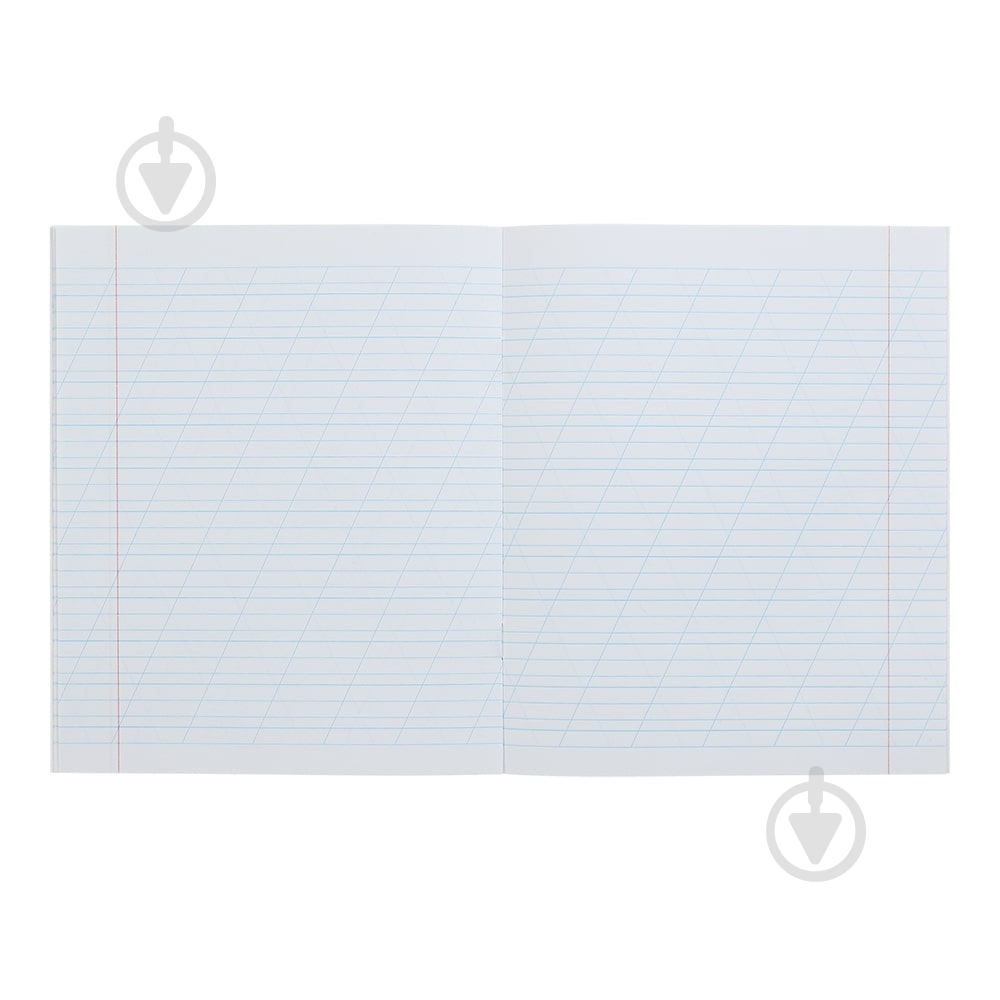 Тетрадь школьная DOGS 12 лист. коса линия KIDS LINE ZiBi - фото 6 Тетрадь школьная DOGS 12 лист. коса линия KIDS LINE ZiBi - фото 6