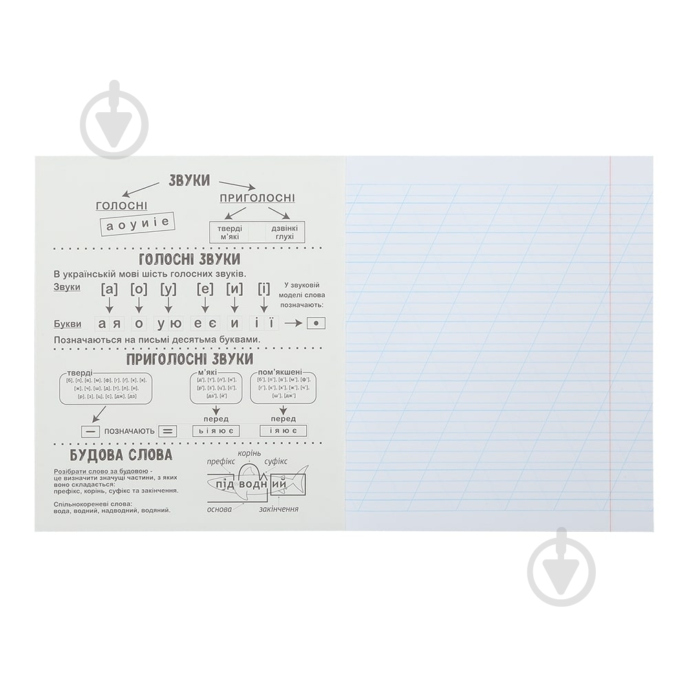 Тетрадь школьная DOGS 12 лист. коса линия KIDS LINE ZiBi - фото 4 Тетрадь школьная DOGS 12 лист. коса линия KIDS LINE ZiBi - фото 4