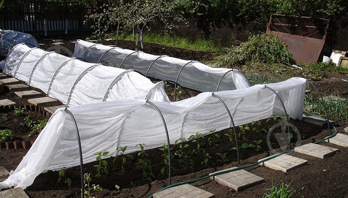 Парник мини Дачный 4 м - фото 4