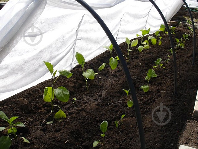 Парник мини Дачный 4 м - фото 5