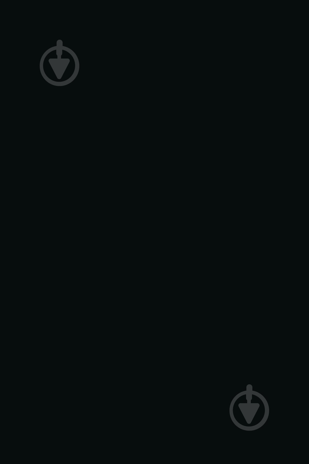 Панель SPC Rocko Color Black 2800х1230х3 мм (0190) - фото 2