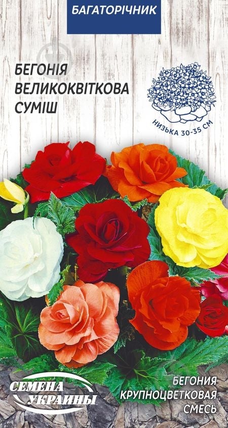 Семена Насіння України бегония Крупноцветковая (смесь) 10 шт. - фото 1