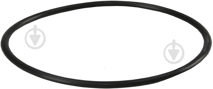 Уплотнительное кольцо Aquafilter OR-N-880х40 - фото 1 Уплотнительное кольцо Aquafilter OR-N-880х40 - фото 1