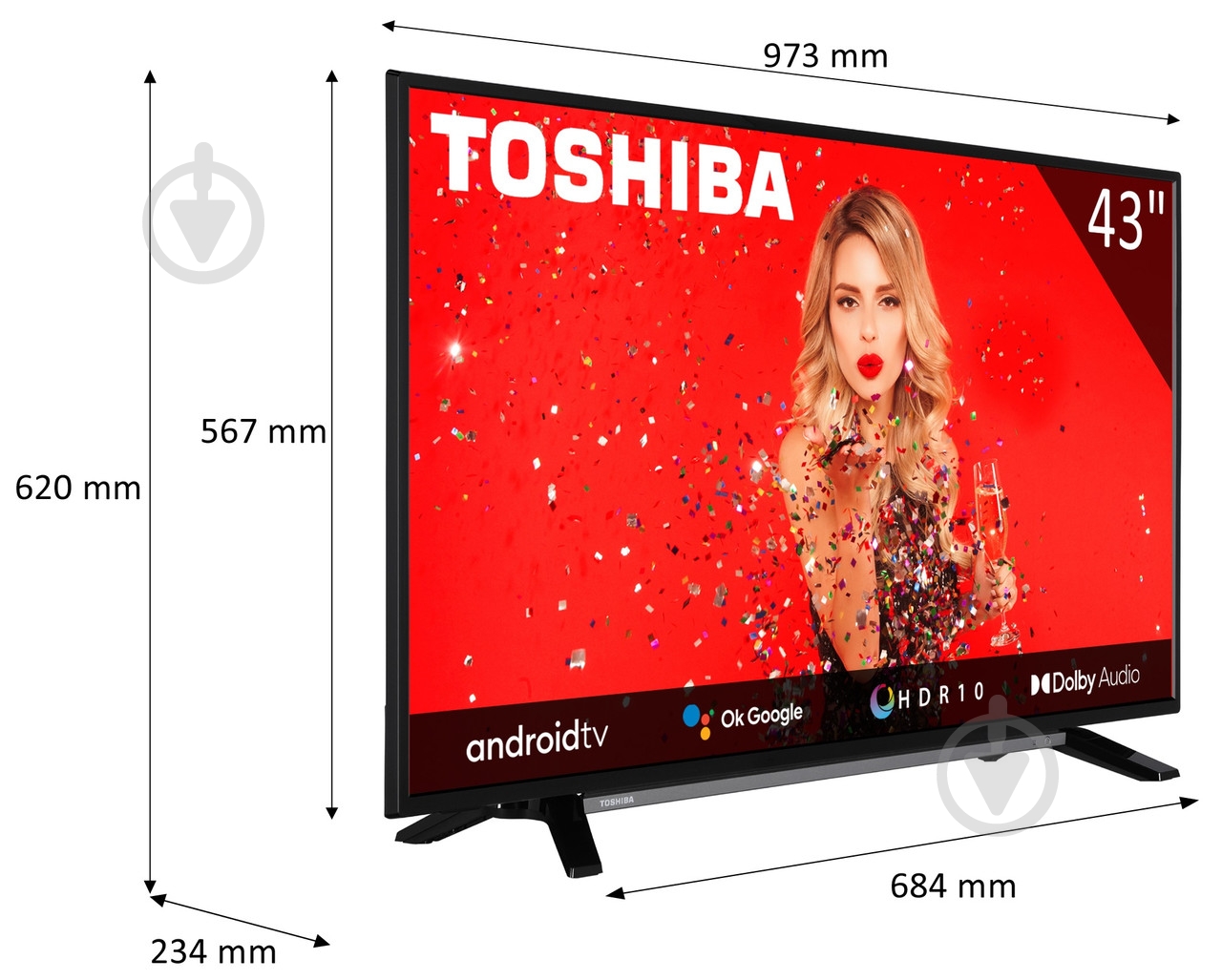 Телевизор TOSHIBA 43LA2B63DG - фото 4