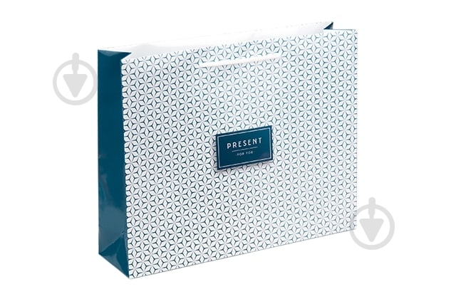 Пакет подарунковий Present for man горизонтальний 25x31x8 см - фото 1 Пакет подарунковий Present for man горизонтальний 25x31x8 см - фото 1