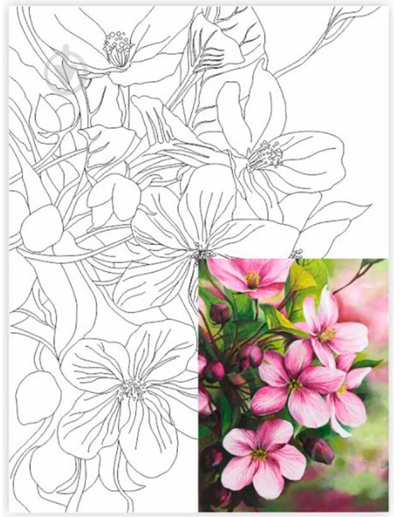 Холст на картоне с контуром Натюрморт №28 Rosa Start - фото 1