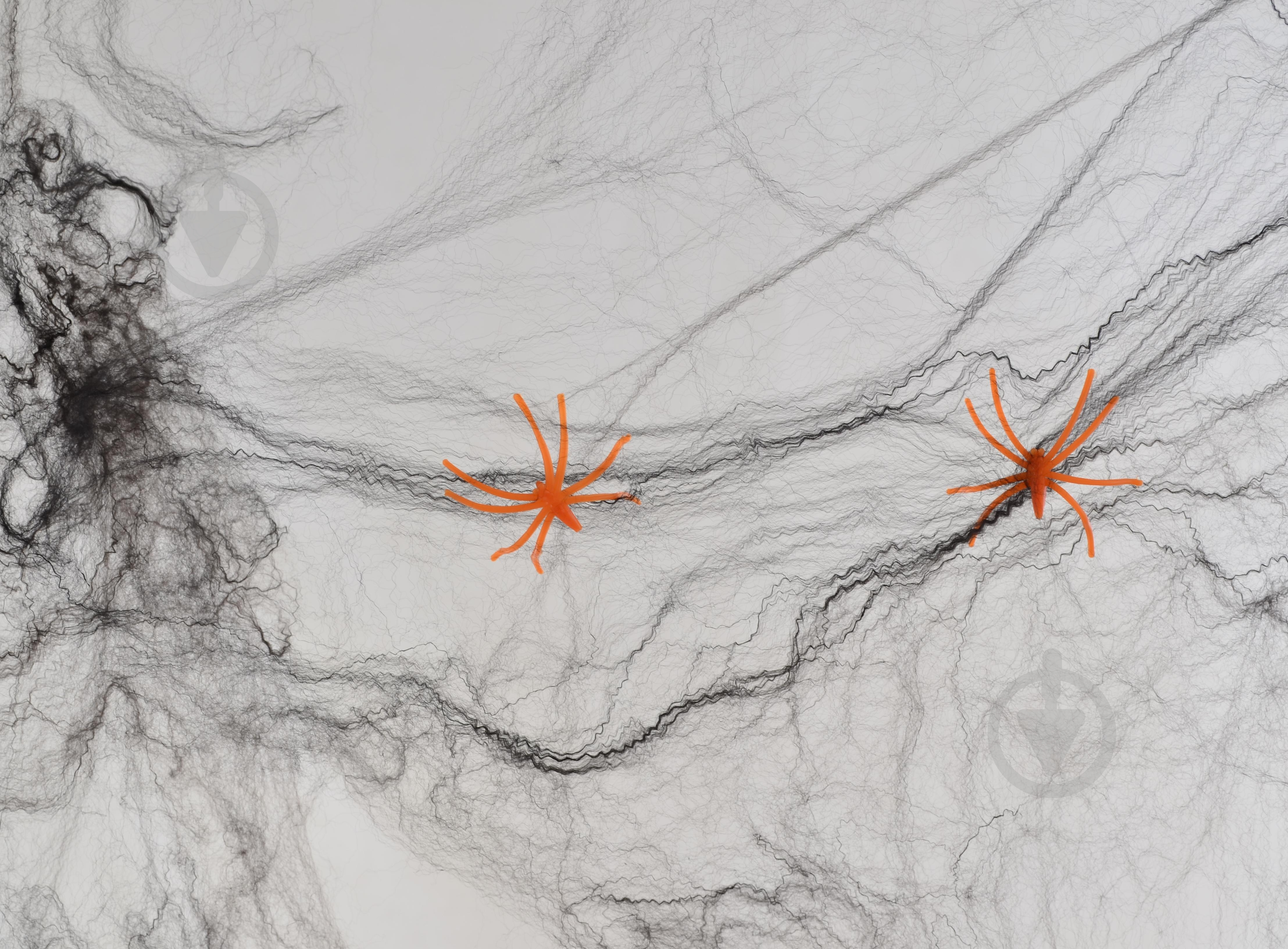 Набор декоративный Fun Паутина черная с двумя пауками 20 г 973366 YES - фото 1