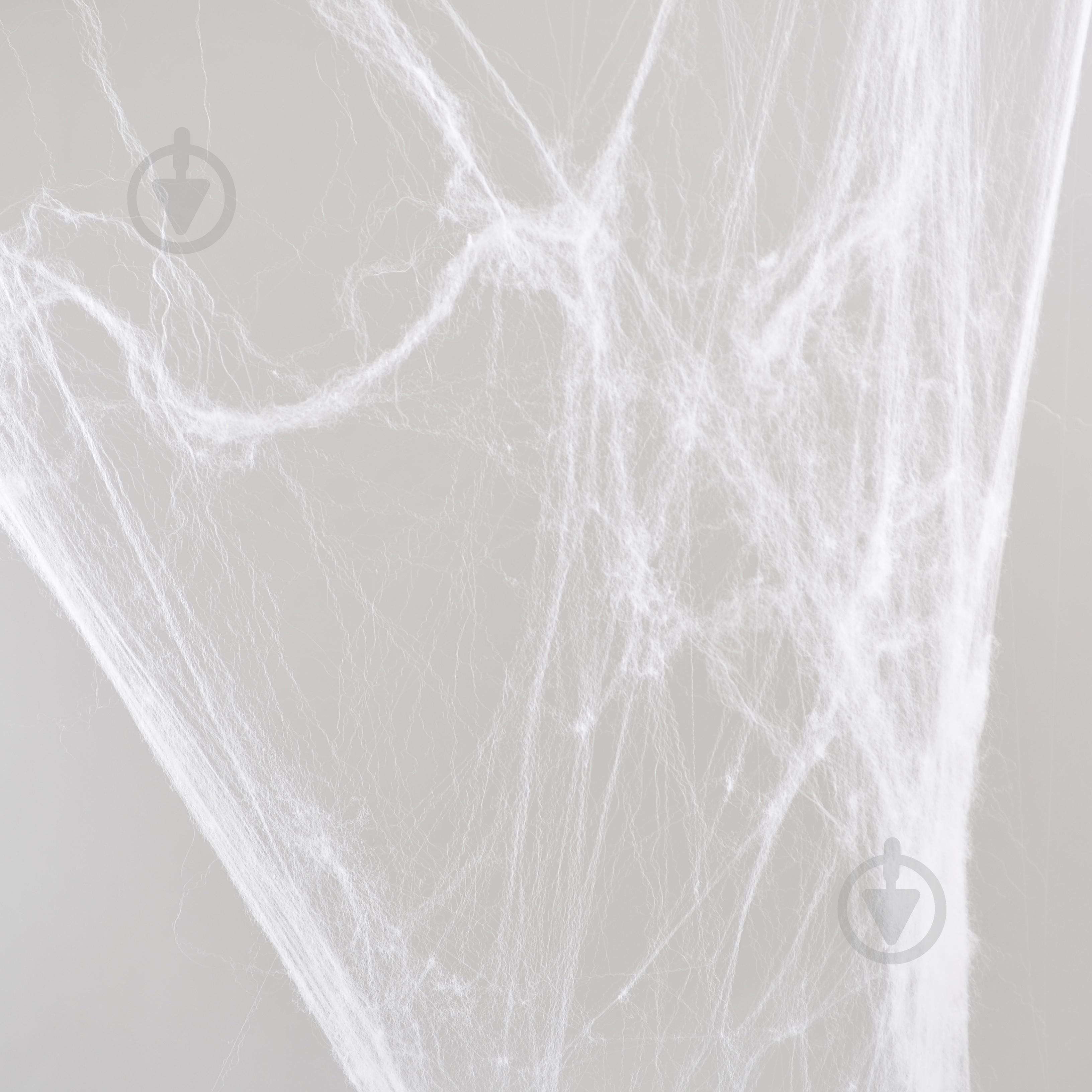 Набір декоративний Павутина біла з двома павучками 40 г 973370 YES - фото 1 Набір декоративний Павутина біла з двома павучками 40 г 973370 YES - фото 1