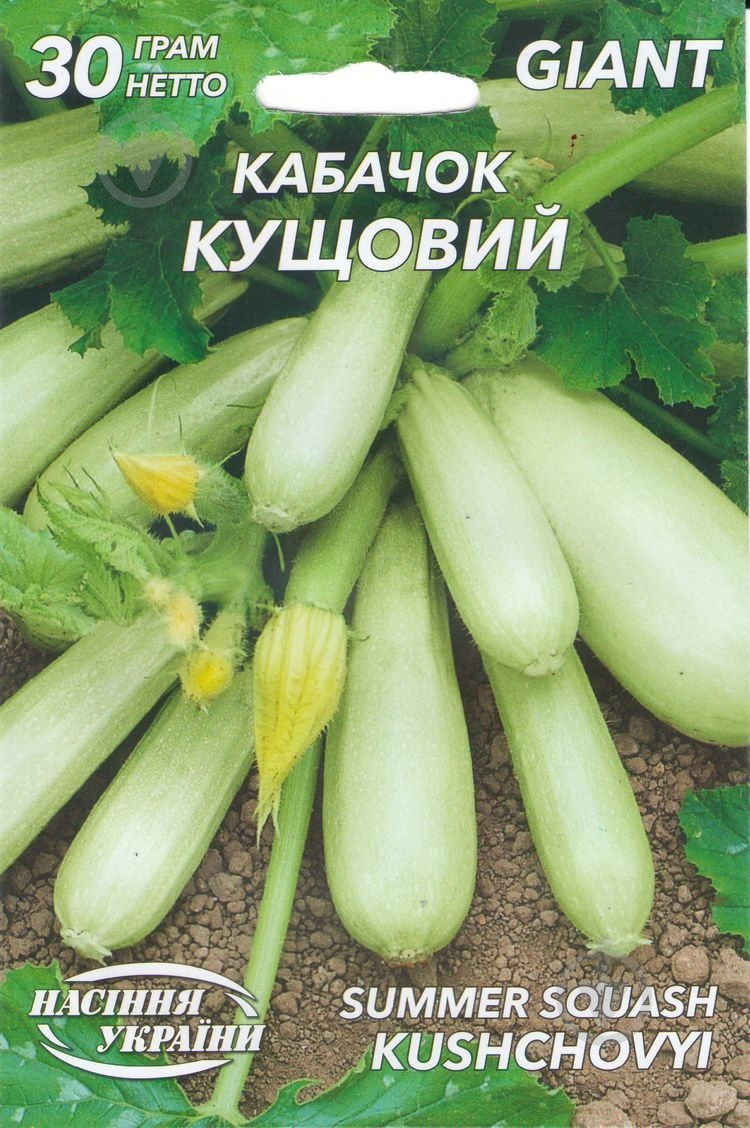 Семена кабачок Кустовой 30 г - фото 1 Семена кабачок Кустовой 30 г - фото 1