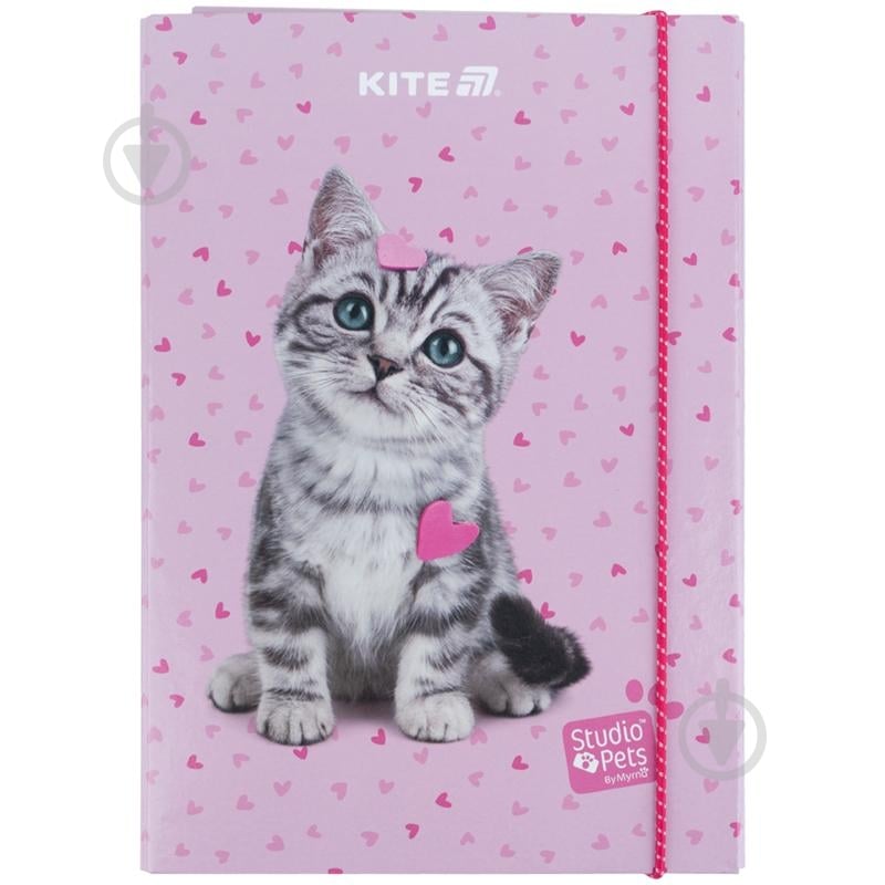 Папка для зошитів В5 на гумці картон SP KITE - фото 1